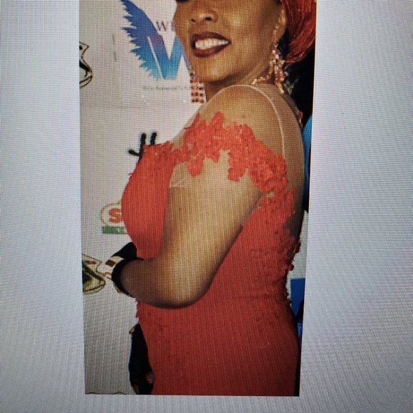 Gorgeous Formal Gown - Picture 3 of 7